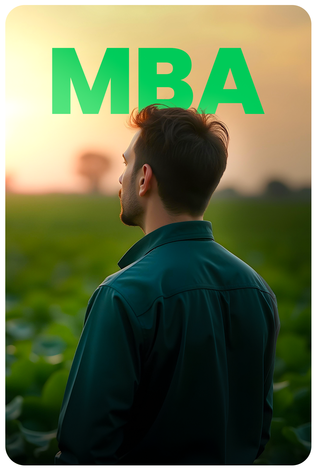 Imagem do MBA
